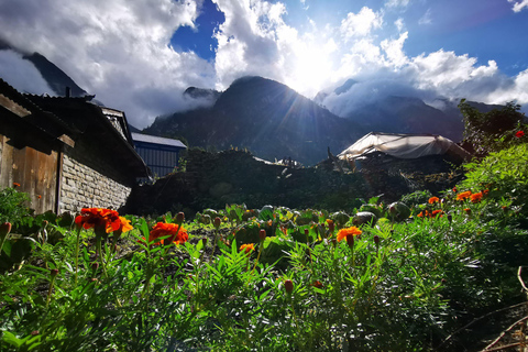 Pokhara : 7 jours de trek au camp de base de l&#039;Annapurna avec source d&#039;eau chaude