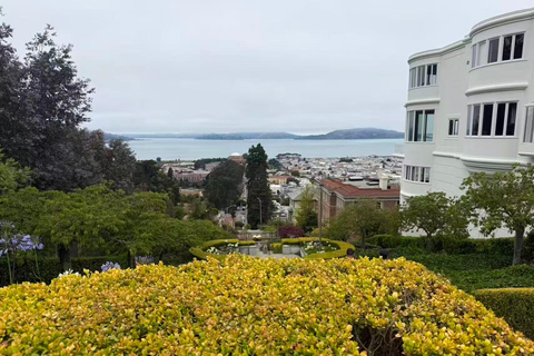 San Francisco: Muir Woods, Sausalito, & Battery Spencer Tour Tour W/Pick-up