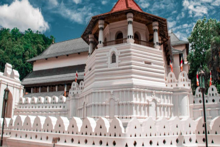 Kandy Heritage and Cultural Temple Tour