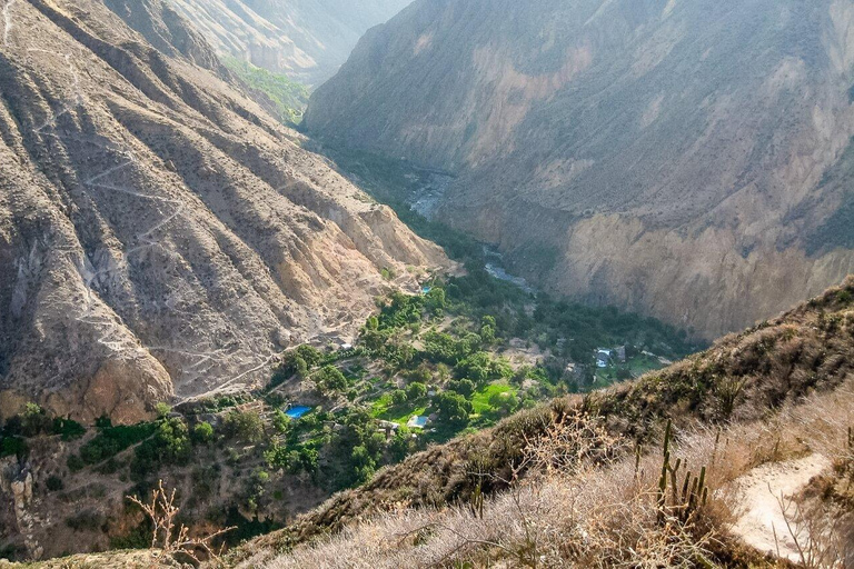 2D Colca Canyon from Puno