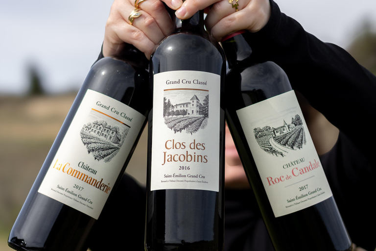 Saint-Émilion: Vineyard Tour and Wine Tasting