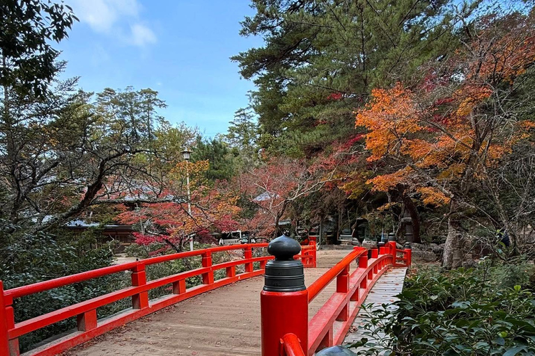 Hiroshima & Miyajima Island: Small Group Full-Day Sightseeing Tour