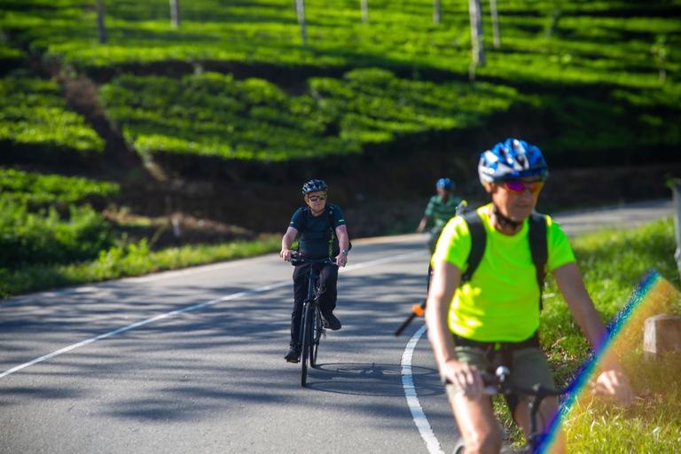 Aventura de bicicleta: Explore Yala a partir de Ella