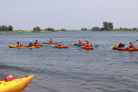 Montreal: Kayak Excursion in the Hochelaga Archipelago Montreal: Kayak Day Trip in the Hochelaga Archipelago