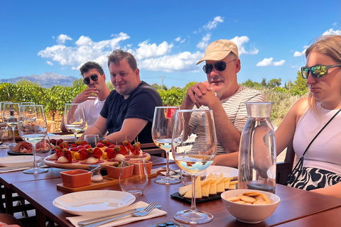 اكتشف كنوز نبيذ مايوركا في أحد أفضل مصانع النبيذمايوركا: اكتشف كنوز النبيذ المحلي