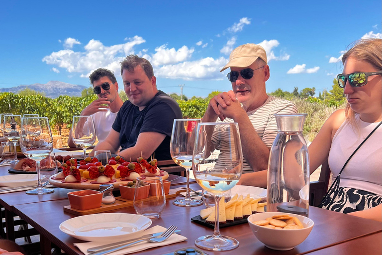 اكتشف كنوز نبيذ مايوركا في أحد أفضل مصانع النبيذمايوركا: اكتشف كنوز النبيذ المحلي