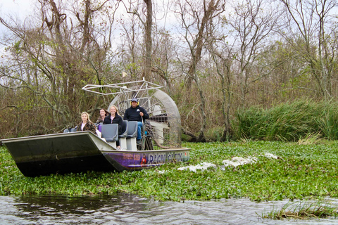 New Orleans: 10 Passenger Airboat Swamp Tour Activity without Hotel Pickup and Drop-Off