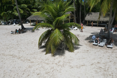 Wild Saona: Unspoiled Beaches and Natural Pools