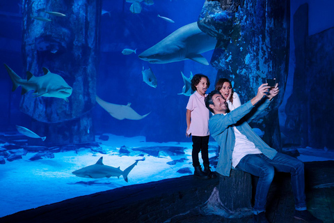 Californie : Accès de 2 jours au parc à thème LEGOLAND et à SEA LIFELEGOLAND California : Parc à thème et Sea Life 2 jours (bas)