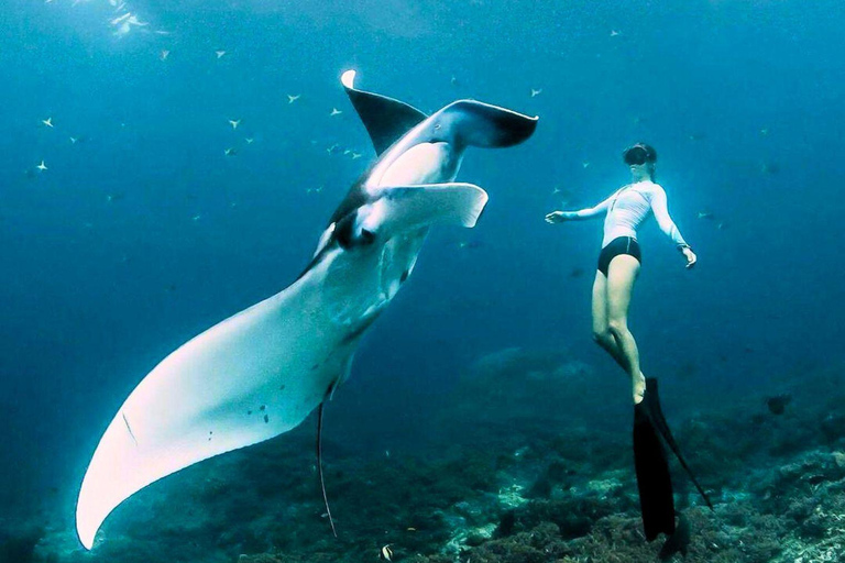 Nusa Penida : Private Day Tour & Snorkeling See Manta Rays Nusa Penida: Snorkeling Ticket with Shared Boat