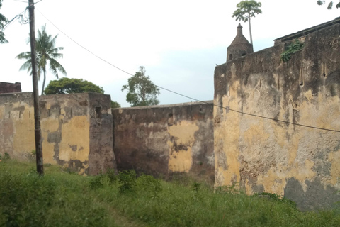 Mombasa: Visita guiada de un día al casco antiguo y al Parque HallerVisitas por la tarde