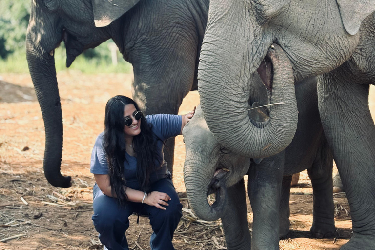 Chiang Mai 2-Day: Good Morning Elephant & Overnight Homestay