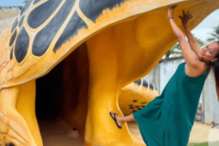 Colombo: Galle Fort, River Safari, and Coast Day Trip From Colombo, Negombo and kaluthara to Galle Fort