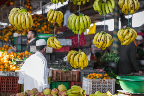 Desde Agadir o Taghazout: tour guiado de la ciudadTour desde Agadir