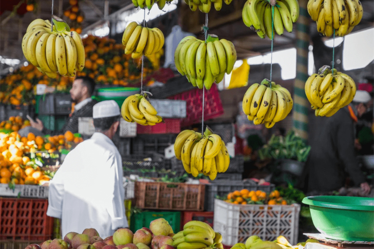 Desde Agadir o Taghazout: tour guiado de la ciudadTour desde Agadir
