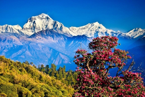 5-Daagse Kathmandu Tour met Nagarkot en Chandragiri HillZonsopgang met Everest: 5-daagse tour vanuit Kathmandu