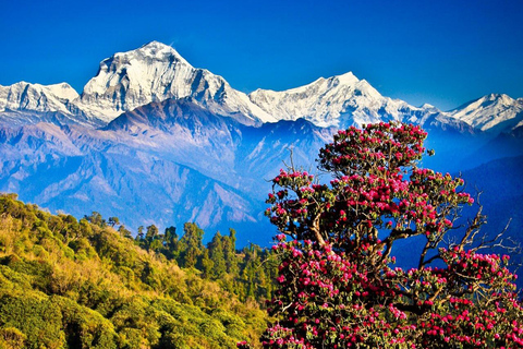 Circuit de 5 jours à Katmandou avec Nagarkot et la colline de ChandragiriLever de soleil sur l'Everest : Circuit de 5 jours au départ de Katmandou