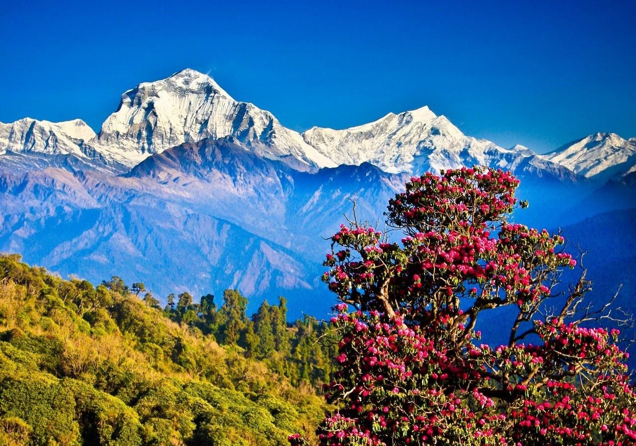 Von Kathmandu: 5-tägiger Trek von Chisapani nach Nagarkot