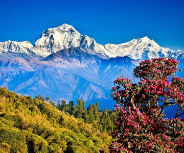 From Kathmandu: 5-Day Chisapani to Nagarkot Trek