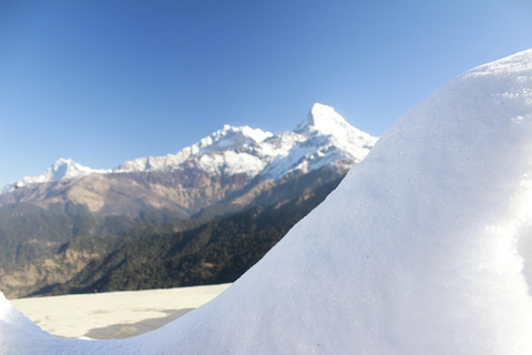 Pokhara: 4 Day Poon Hill Trek with 3 Day National Park Tour