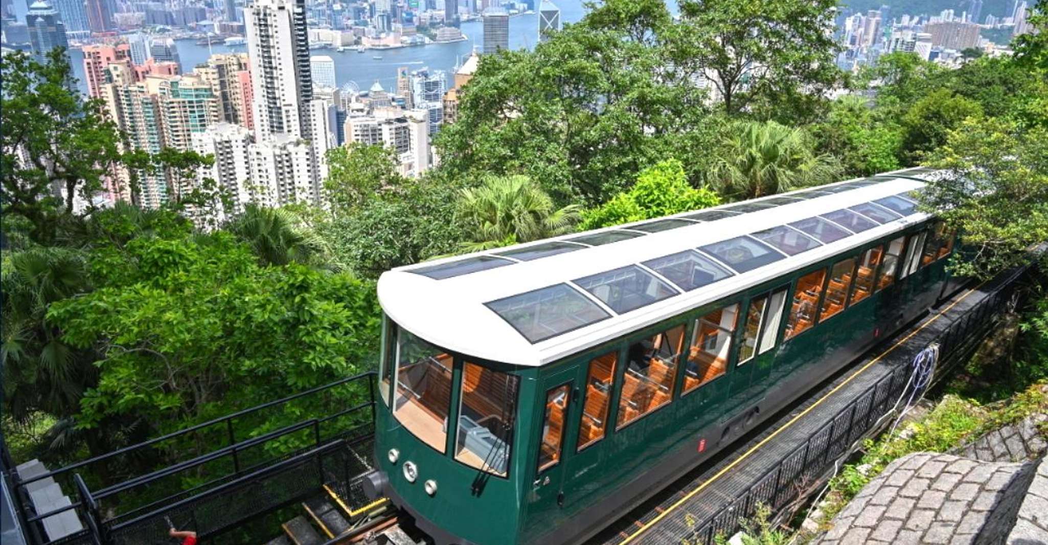 Hong Kong Day Tour: Priority Peak Tram, City Walk & Dim Sum
