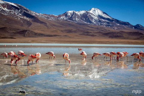 Uyuni: 2-dniowa wycieczka z cmentarzem kolejowym i Salar de Uyuni