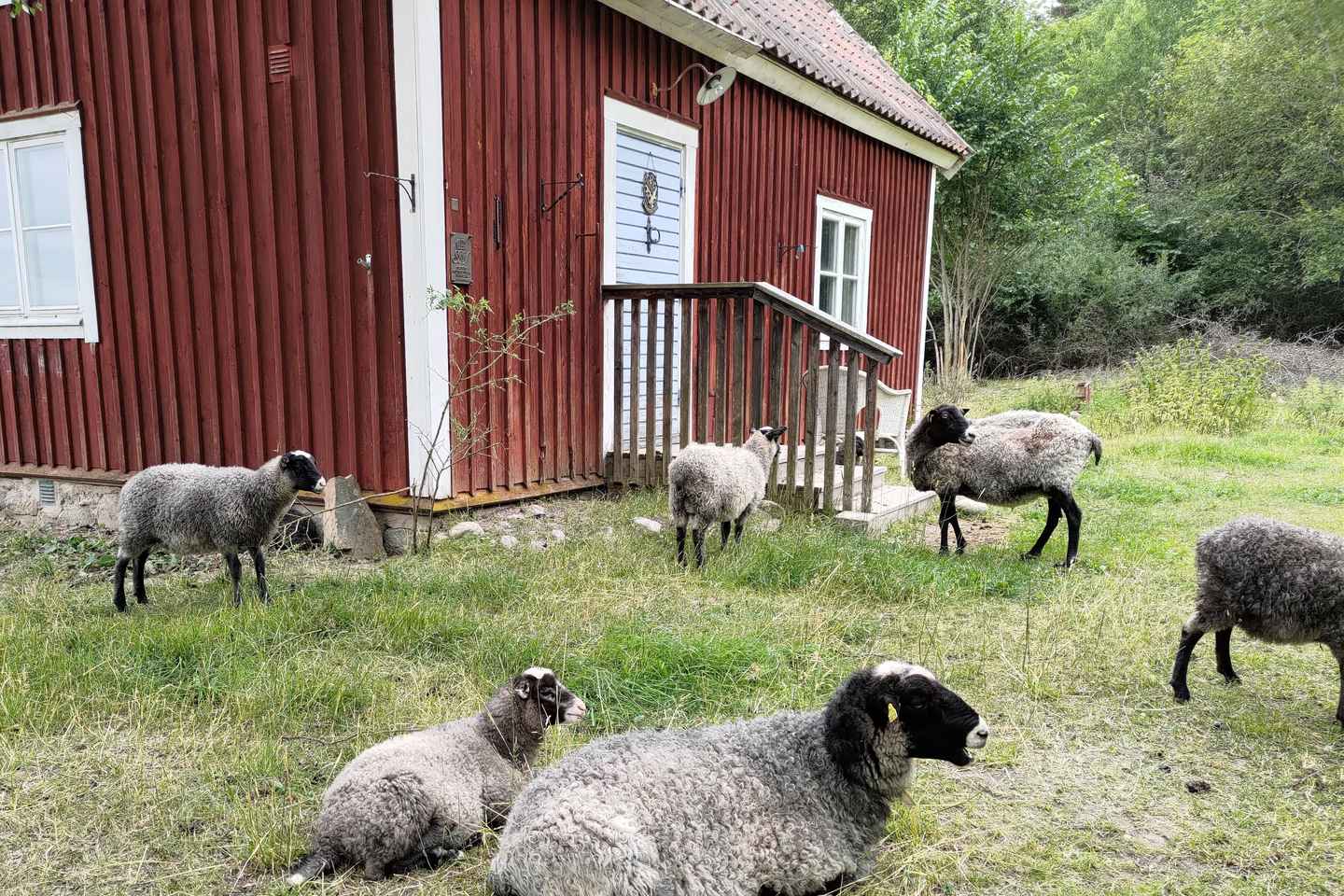 Arlanda to Stockholm or opposite w. Viking Tour & fika stop - Shared tour - buy per 'seat' (group equals nr seats) english