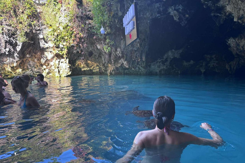 Zanzibar: Jozani forest, Sea tortoises & Mtende beach tour Private tour no Hotel pick and drop off included