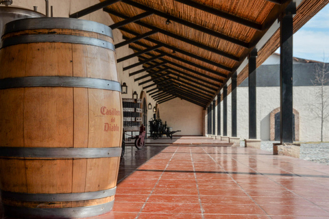 CONCHA Y TORO VINEYARD