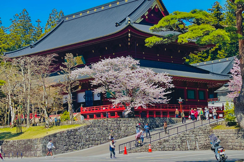 Japan: 7-Day Private Tour with Tokyo, Kamakura, and Osaka