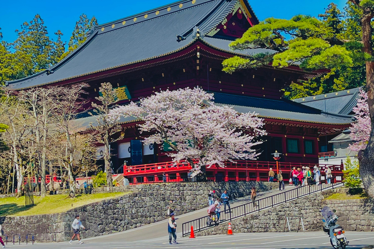 Japan: 7-Day Private Tour with Tokyo, Kamakura, and Osaka