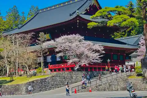 Hakone: Full day private tour with English speaking Guide