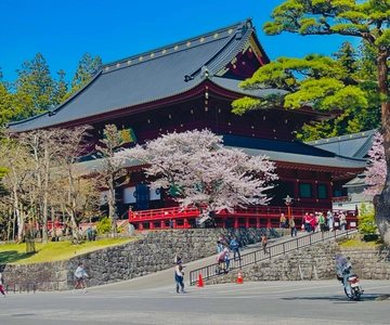 Hakone: Full day private tour with English speaking Guide
