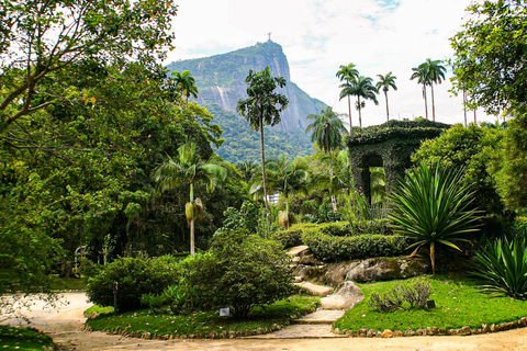 Rio de Janeiro: Botaniska trädgården och Tijuca Forest Jeep TourFrån hotell i södra zonen: Tysktalande