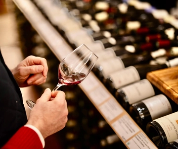 🍷 Masterclass Pinot Noir - Wine tasting in Dijon 🇫🇷