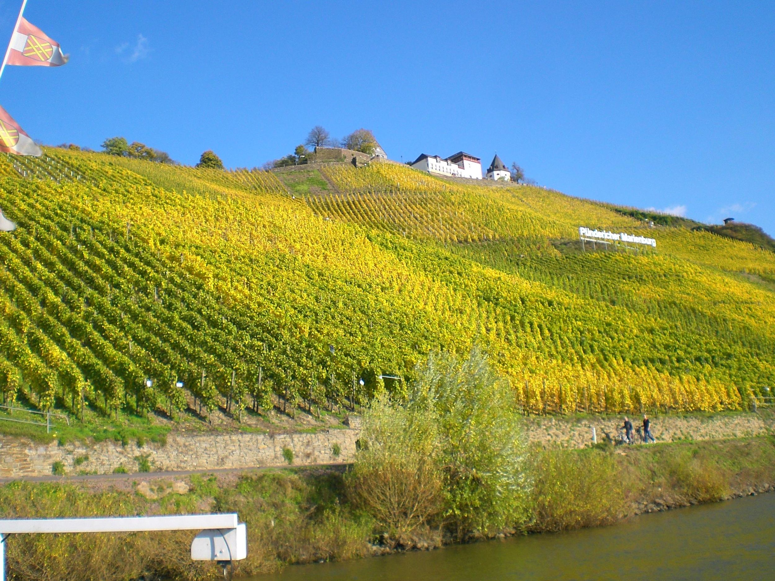 Mosel: Weine mit Aussicht vom Prinzenkopfturm