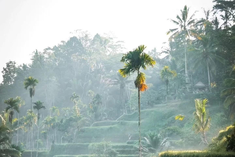 Monte Batur: avventura in jeep all'alba con opzioni di tour a UbudGiro in jeep all'alba + foresta delle scimmie (con trasferimento dall'hotel)