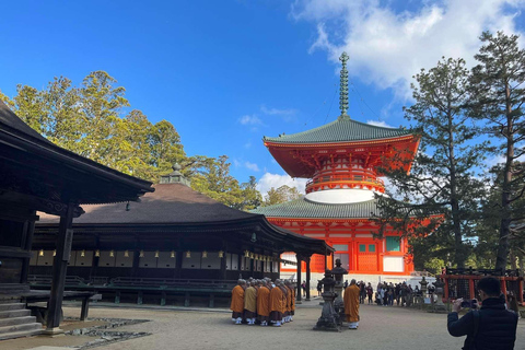 Wakayama & Koyasan: Private Tour with Hotel Pickup & Lunch