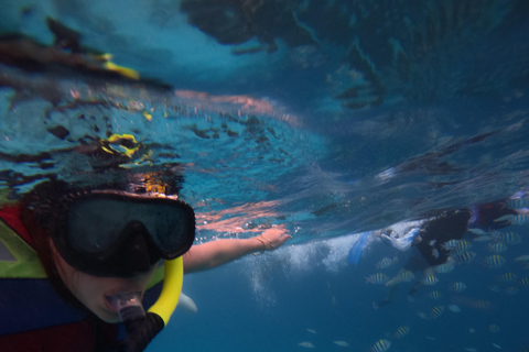 Snorkeling trip Gili Trawangan