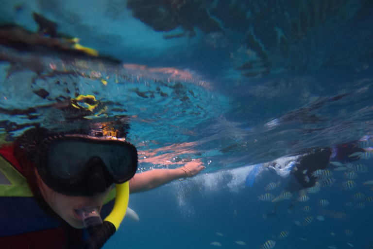 Snorkeling trip Gili Trawangan