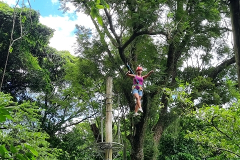 Rio de Janeiro: Zip Lining and Canopy Tree Tour