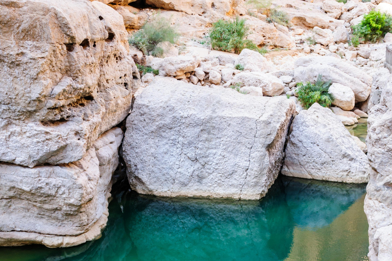 Full Day Group Tour in Wadi Shab