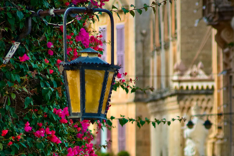 Malta: Valletta, Mdina, 3 Cities & Gozo 4-Day Guided Tour Tues (Mdina), Wed (Valletta), Thurs (Gozo) & Sat (3 Cities)