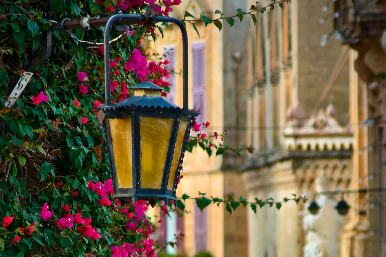 Malta: Valletta, Mdina, 3 Cities & Gozo 4-Day Guided Tour Tues (Mdina), Wed (Valletta), Thurs (Gozo) & Sat (3 Cities)