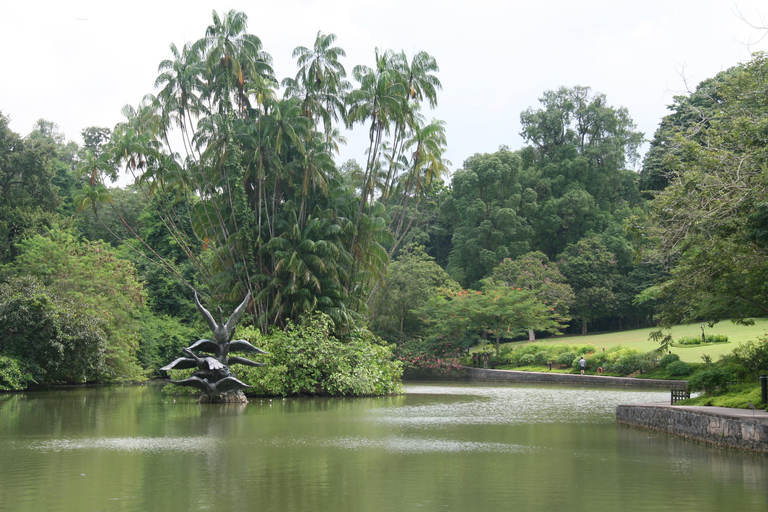 Cingapura: Excursão particular com um guia localPasseio de 3 horas