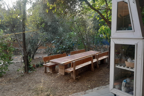 Muğla: Artisan Bread Baking Class with Turkish Breakfast