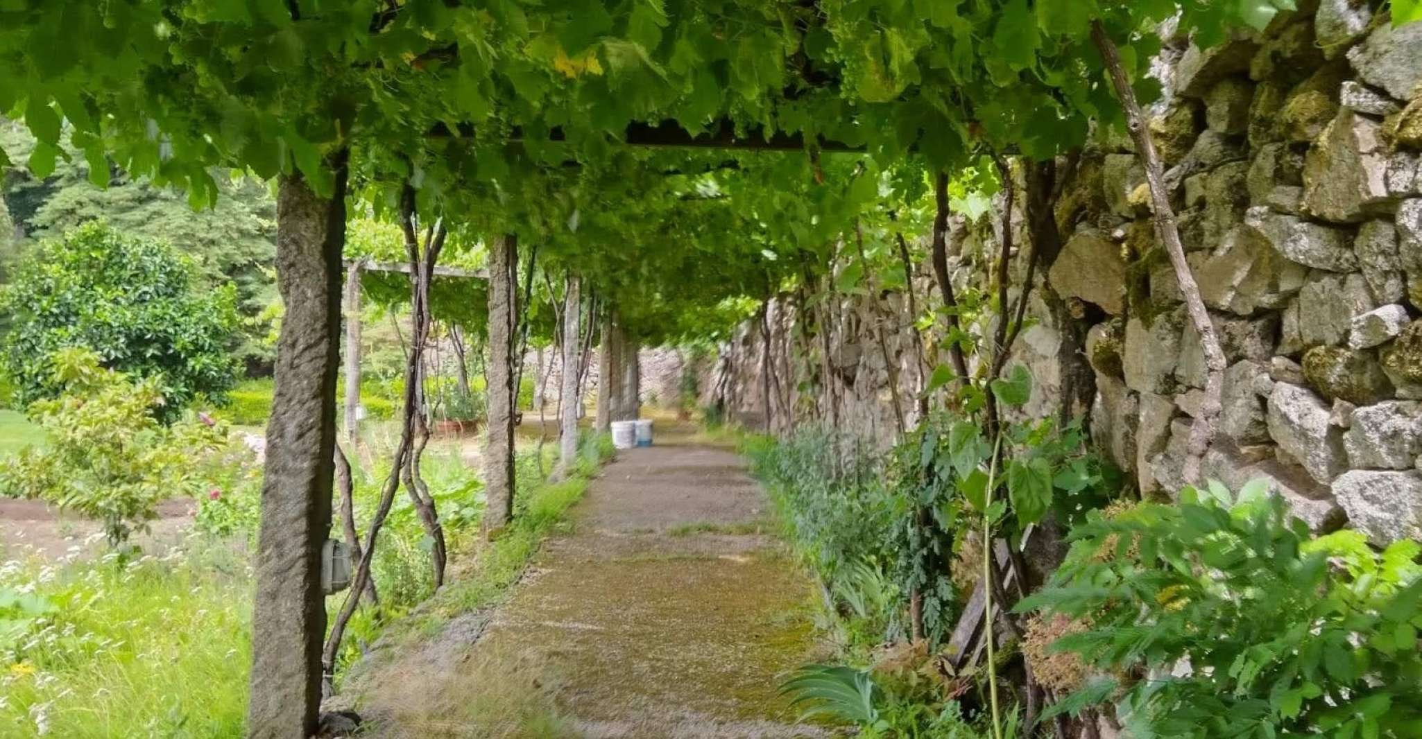 Vinho Verde Visite privée des vins - Hizvo