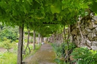 Vinho Verde Visite privée des vins - Hizvo
