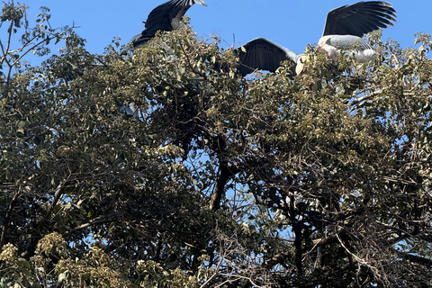 Addis Ababa: 14-Day Adventure and Nature Tour(customizable)