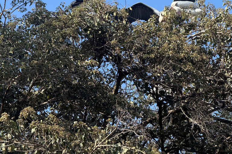 Addis Ababa: 14-Day Adventure and Nature Tour(customizable)